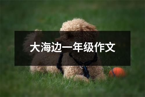 大海边一年级作文