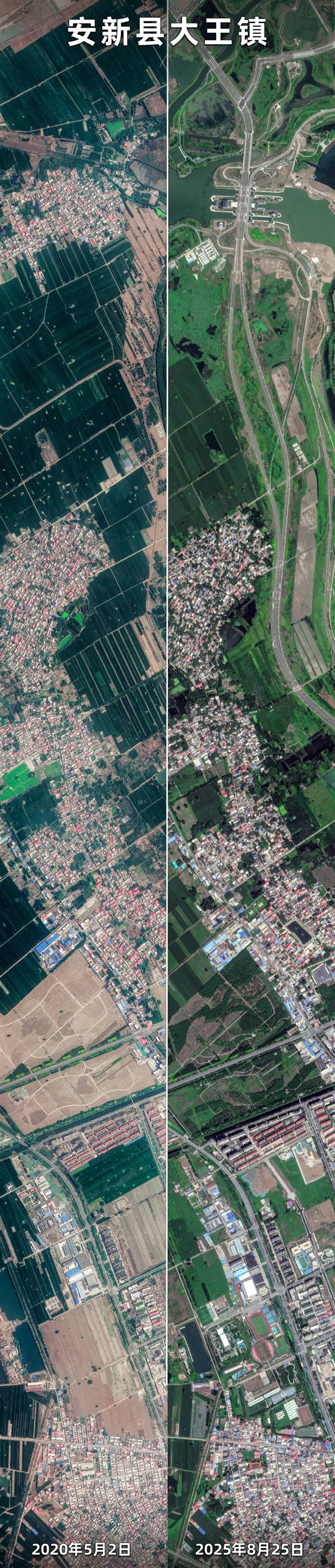 卫星眼中的雄安速度！从2020到2025 绿化与大楼同生长