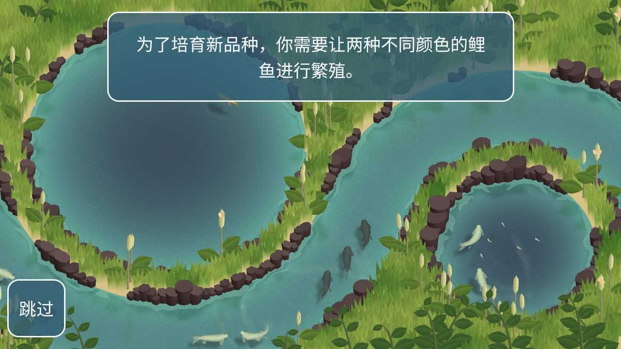 锦鲤农场新品种培育