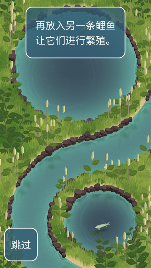 锦鲤农场繁殖玩法