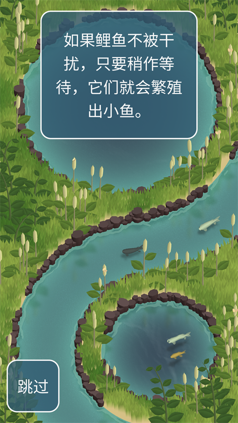 锦鲤农场小鱼繁殖效果