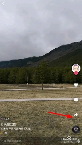 蘑菇视频 1.2 手机版