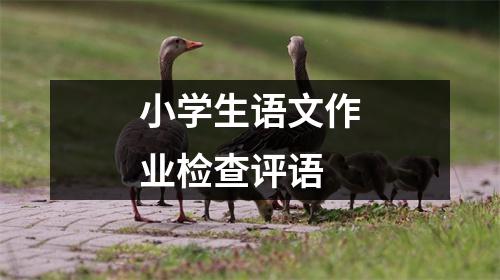 小学生语文作业检查评语
