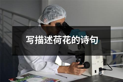 写描述荷花的诗句