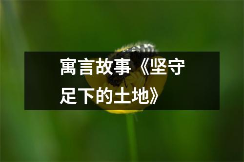 寓言故事《坚守足下的土地》
