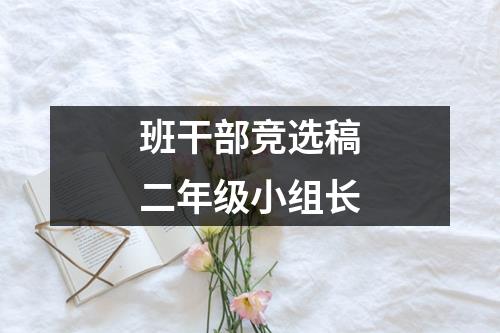 班干部竞选稿二年级小组长