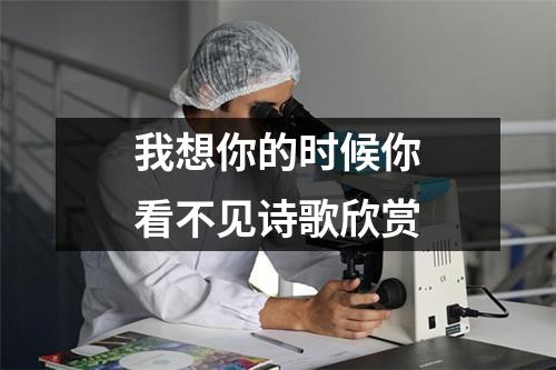 我想你的时候你看不见诗歌欣赏