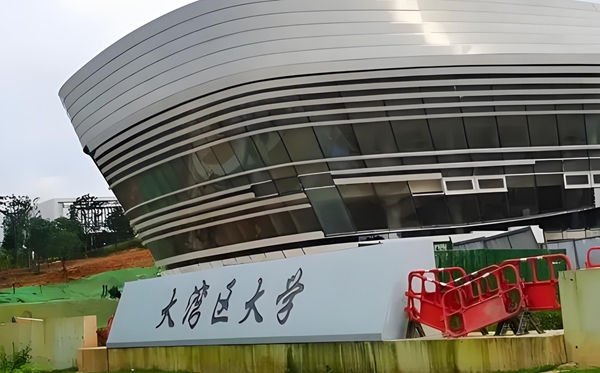 大湾区大学是公办还是民办？