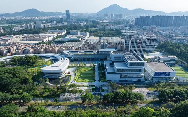 大湾区大学开设了哪些专业？