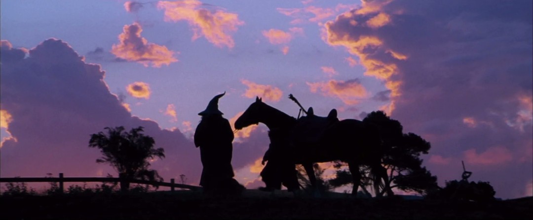 《指环王》《哈利波特》《蝙蝠侠》都是Netflix的了