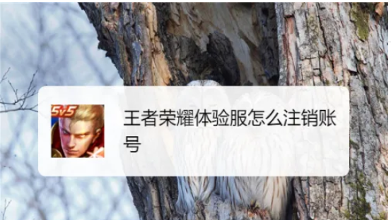 王者荣耀体验服怎么注销  王者荣耀体验服怎么注销账号