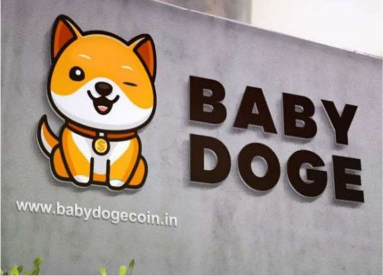 BabyDoge概念图