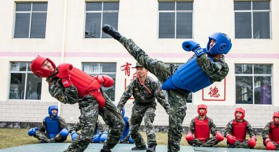 我国古代十八般武艺中白指的是 12月10日最新蚂蚁新村今日答案2025