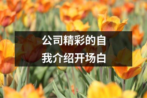 公司精彩的自我介绍开场白