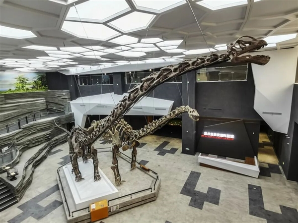 重庆发现巨型恐龙新物种 体长可达24米 改写东亚恐龙演化格局