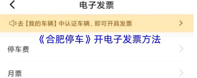 合肥停车怎么开发票