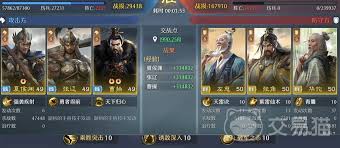 九牧之野魏国智力队如何搭配-九牧之野魏国智力队怎么进行阵容搭配