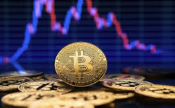 1765532806134167.jpeg 768768.jpeg