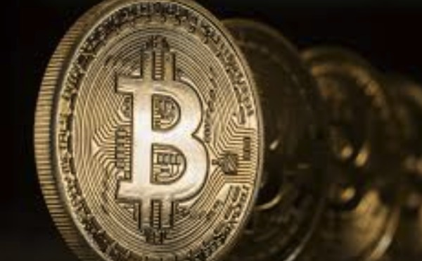 1765533461198801.jpeg 23463636.jpeg