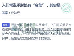 手肘处有麻筋是怎么回事-手肘处有麻筋究竟是什么