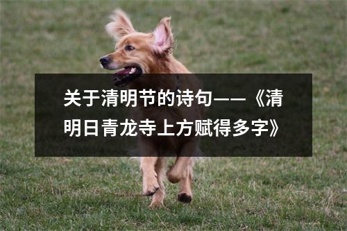 关于清明节的诗句——《清明日青龙寺上方赋得多字》