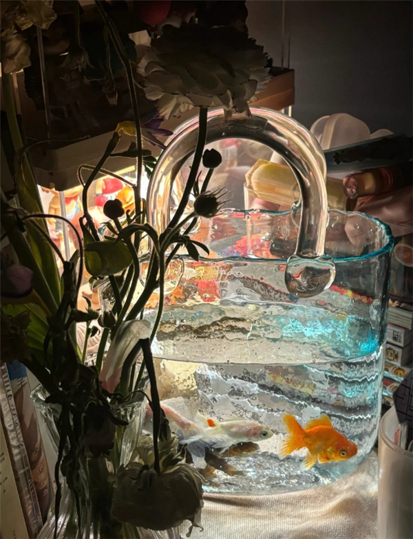 2025新手养鱼避坑指南：家用智能鱼缸推荐 当贝鱼缸实测