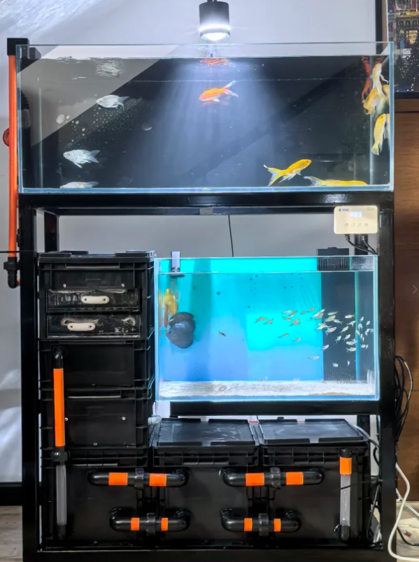 2025新手养鱼避坑指南：家用智能鱼缸推荐 当贝鱼缸实测