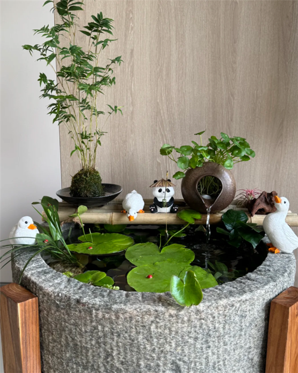 2025新手养鱼避坑指南：家用智能鱼缸推荐 当贝鱼缸实测