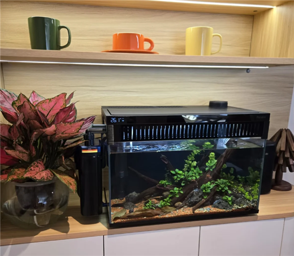 2025新手养鱼避坑指南：家用智能鱼缸推荐 当贝鱼缸实测