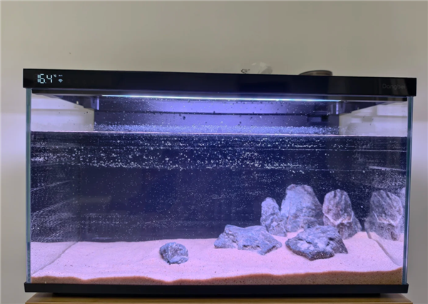 2025新手养鱼避坑指南：家用智能鱼缸推荐 当贝鱼缸实测