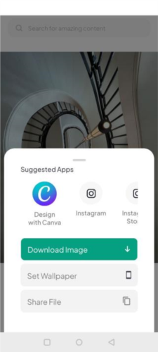 《pexels》下载图片方法