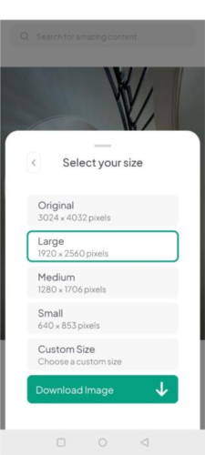 《pexels》下载图片方法
