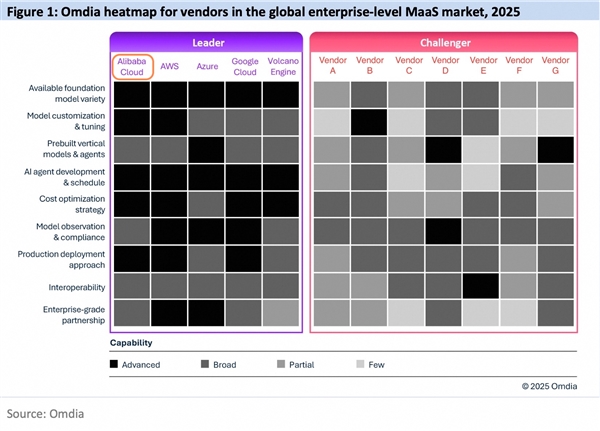 MaaS市场权威报告：阿里云获5项最高评级 为中国第一
