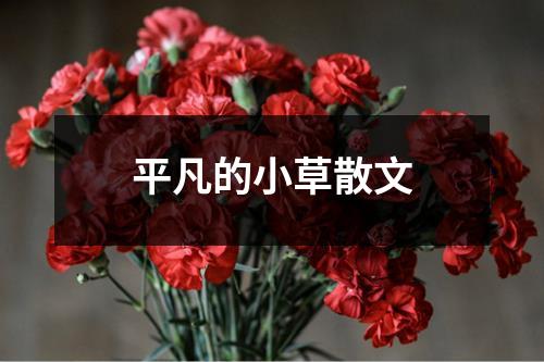 平凡的小草散文（共11篇）