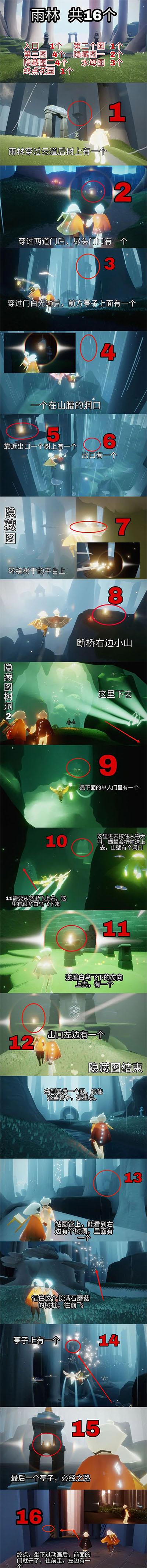 光遇雨林小金人分布图