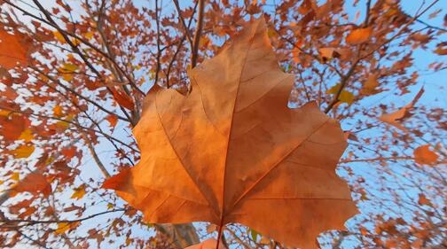 大疆Osmo Action 6固件升级：正式支持8K视频