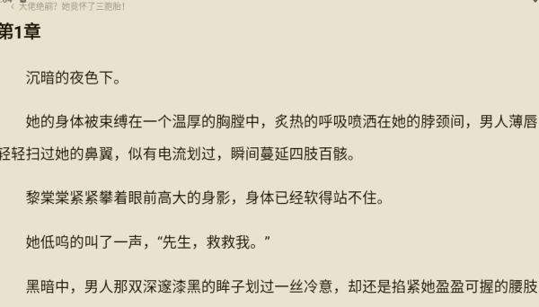 红烛小说app阅读参数设置方法