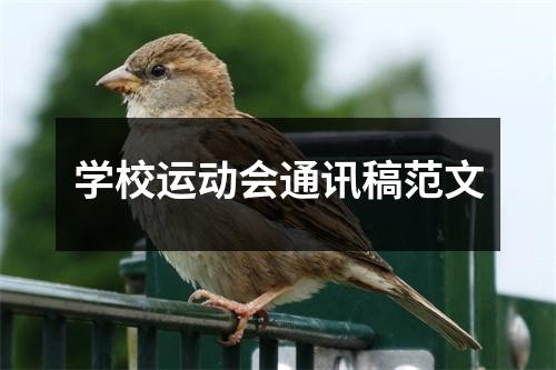 学校运动会通讯稿范文