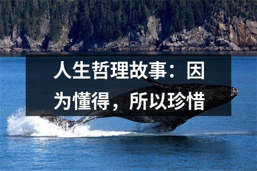 人生哲理故事：因为懂得，所以珍惜