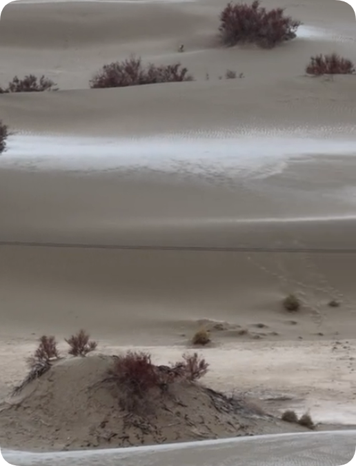 每一帧都是大片！塔克拉玛干沙漠迎来降雪  望一眼便沦陷