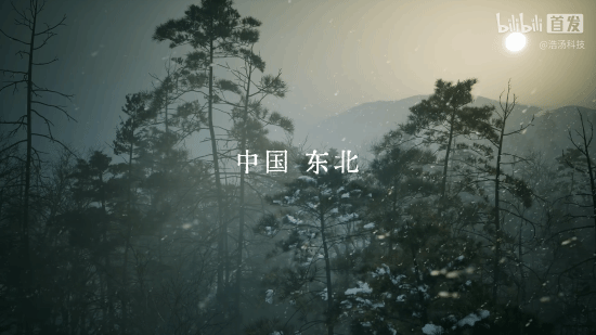 播放突破两百万！国产抗战新作《抵抗者》实机演示爆火