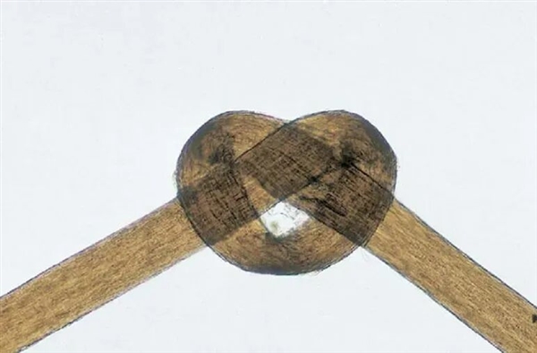 头发开叉其实是种病，很多人忽视了！3步就能改善