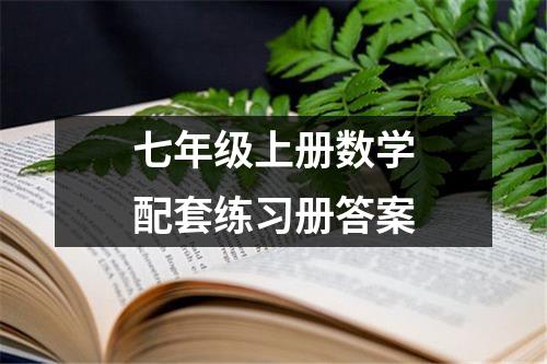 七年级上册数学配套练习册答案