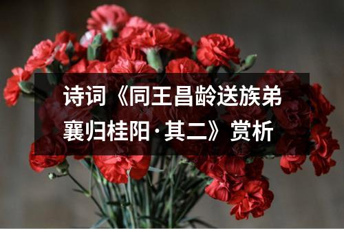 诗词《同王昌龄送族弟襄归桂阳·其二》赏析