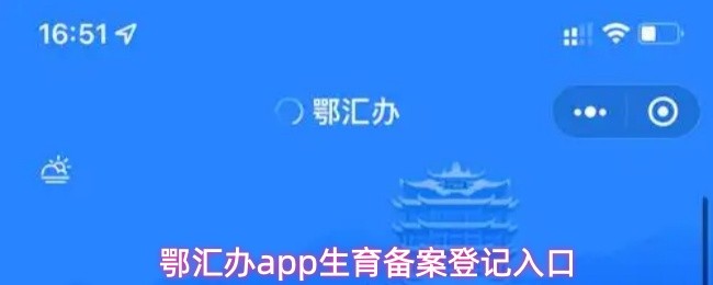鄂汇办app生育备案在哪登记