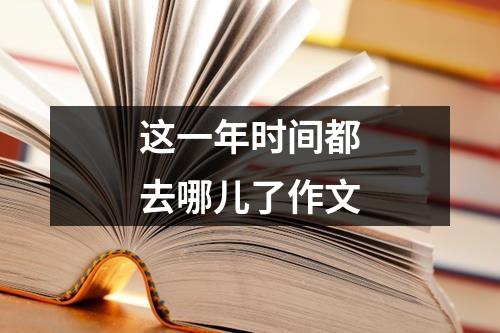 这一年时间都去哪儿了作文