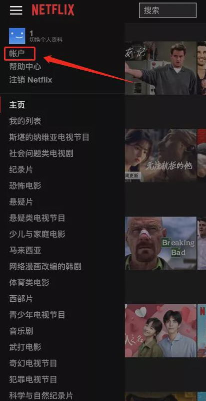 Netflix账户设置