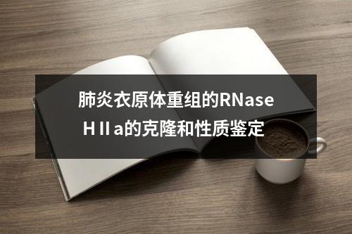 肺炎衣原体重组的RNase HⅡa的克隆和性质鉴定