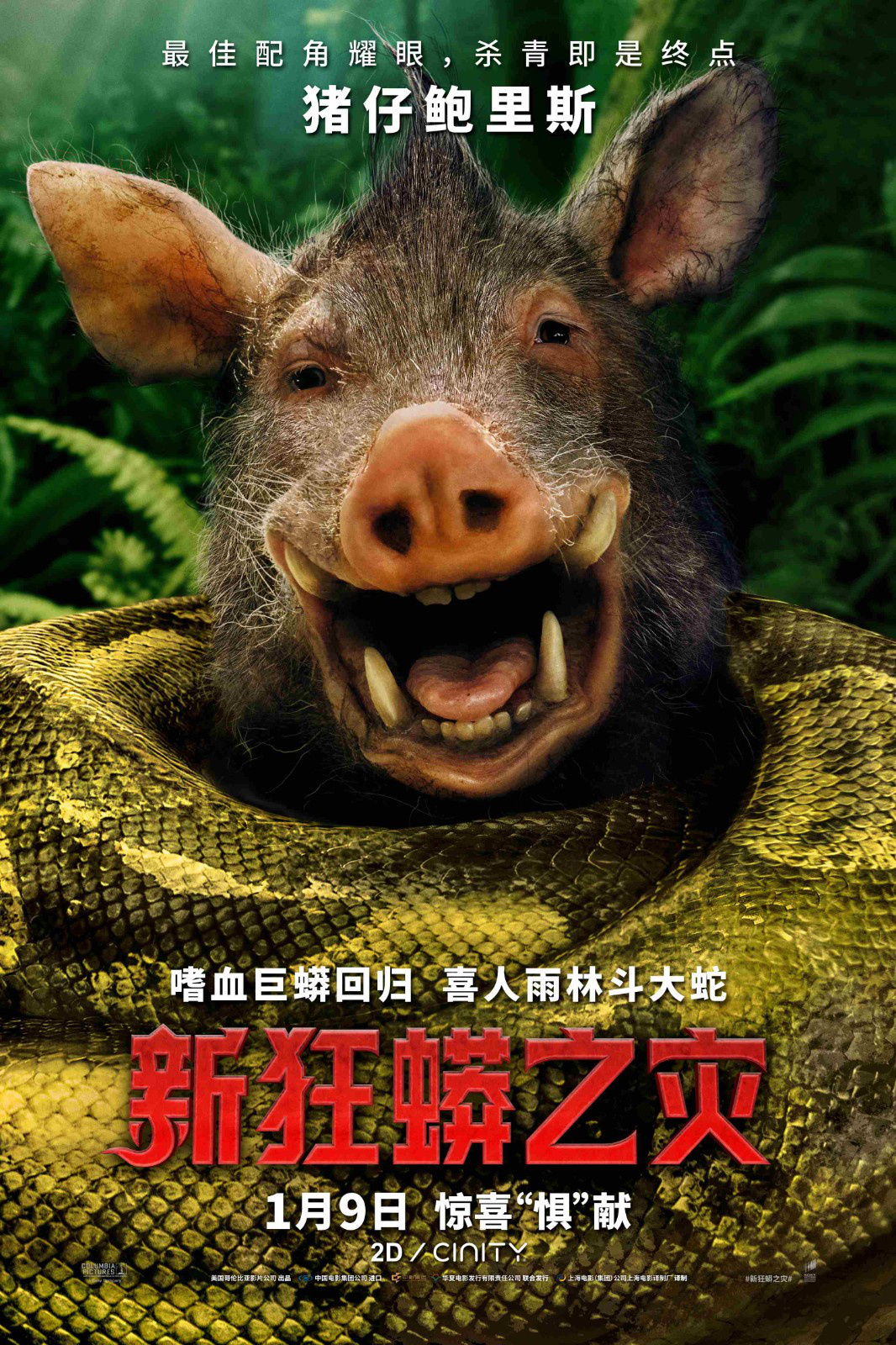 《新狂蟒之灾》电影中国内地定档2026年1月9日