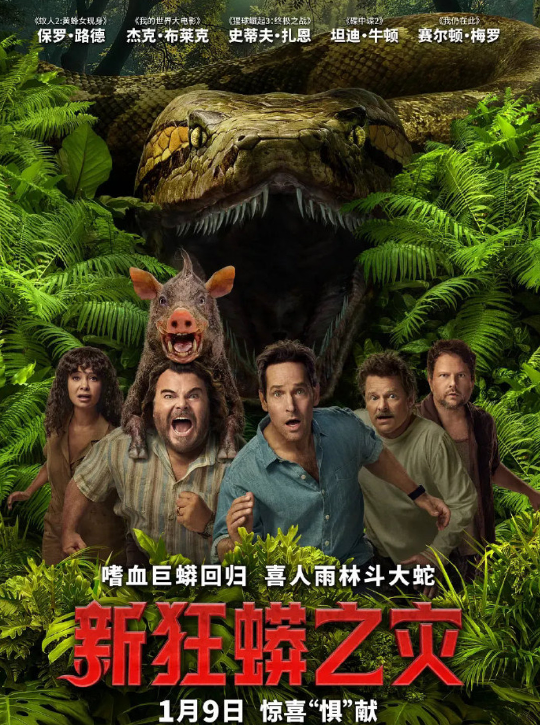 《新狂蟒之灾》电影中国内地定档2026年1月9日